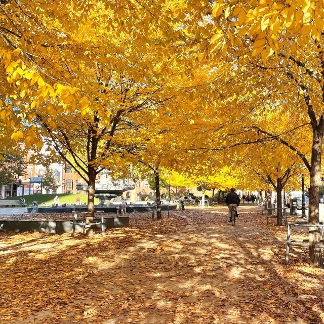Toronto: Show Me the City! - Navigating the Underground PATH System