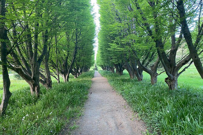 Toronto to Niagara Day Tour - Duration and Timing