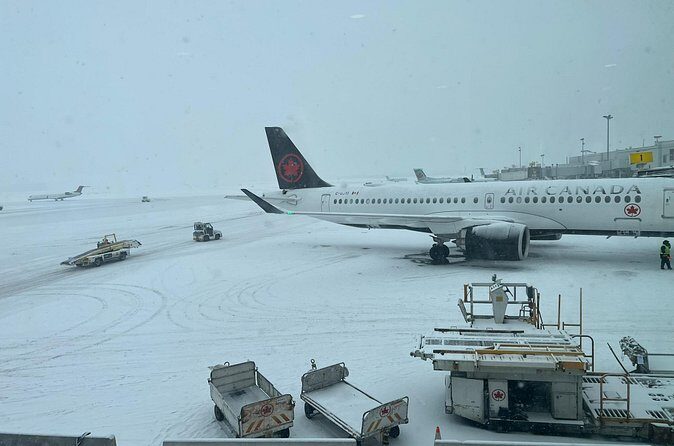 Toronto to Niagara Day Tour - Price and Value