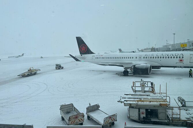 Toronto to Niagara Day Tour - Group Size and Accessibility