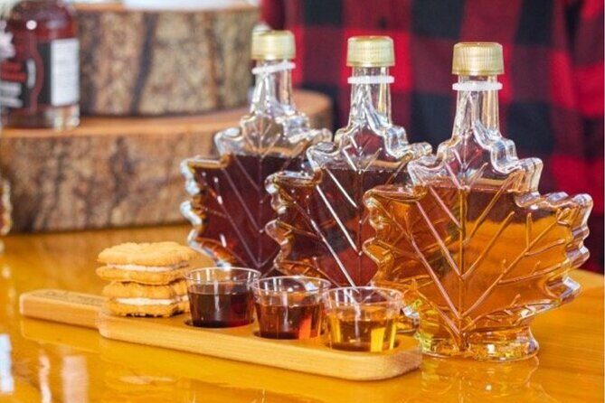 Toronto to Niagara Falls Evening Tour - An In-Depth Look at the Tour Experience