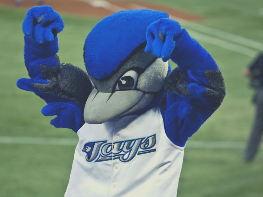 Toronto: Toronto Blue Jays Baseball Game Ticket - Crowd Expectations