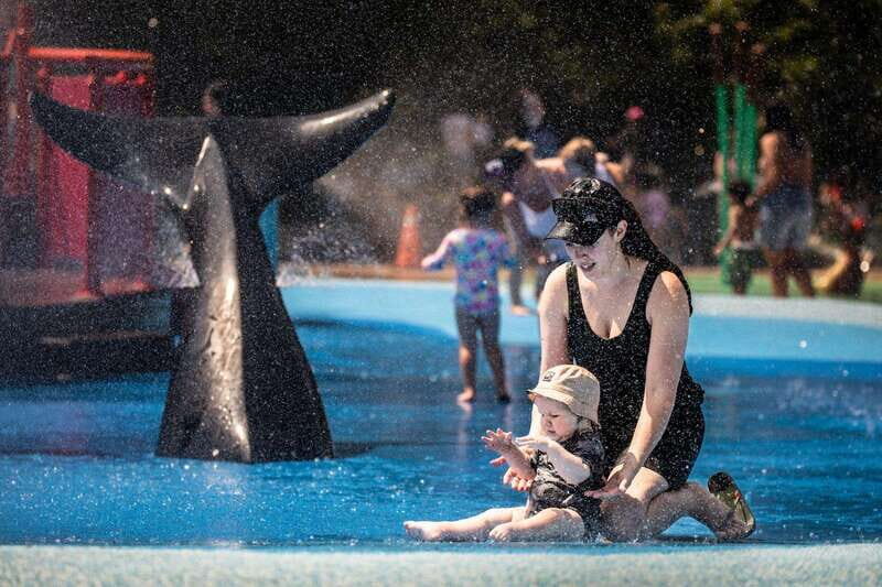 Toronto: Toronto Zoo Entry Ticket - Key Points