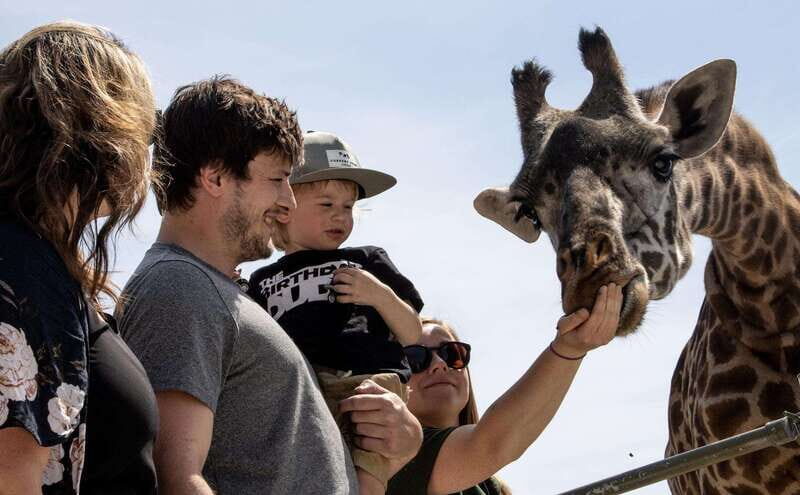 Toronto: Toronto Zoo Entry Ticket - The Layout and Experience at the Toronto Zoo