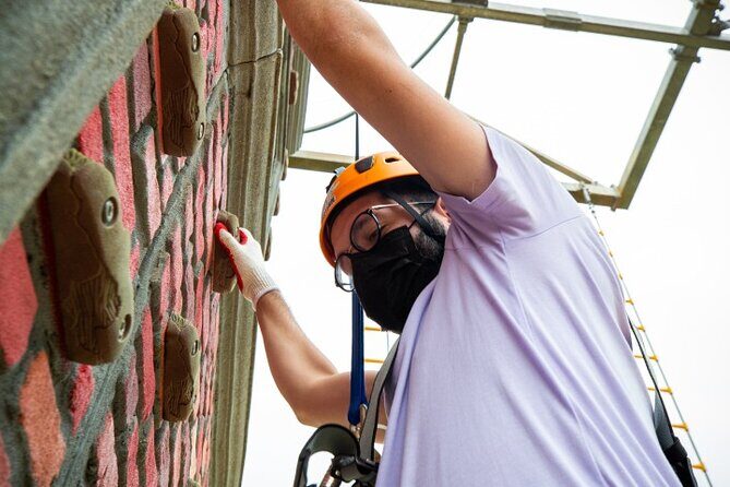 ToroRoller - Summary