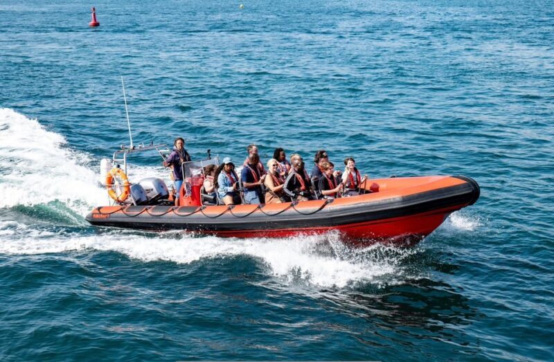 Torquay: 1-Hour Coastal Explorer Boat Trip - The Route and Stops