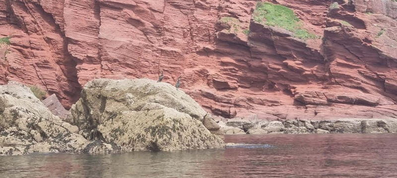 Torquay: Canoe Rental - Practical Details and Tips