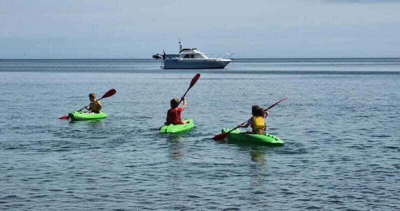 Torquay: Kayak Rental with Sit-on-Top and Sit-in Kayaks - Exploring the Kayak Experience in Torquay