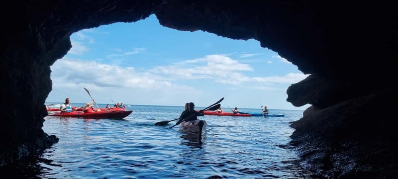 Torquay: Wildlife, Bushcraft and Sea Cave Kayak Safari - Key Points
