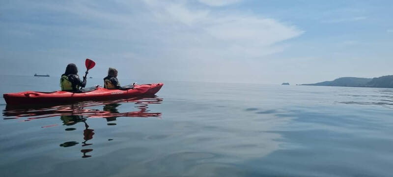 Torquay: Wildlife, Bushcraft and Sea Cave Kayak Safari - Practical Considerations