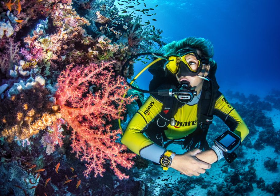 Torre Annunziata: Course to Become a Diver - Included in the Course
