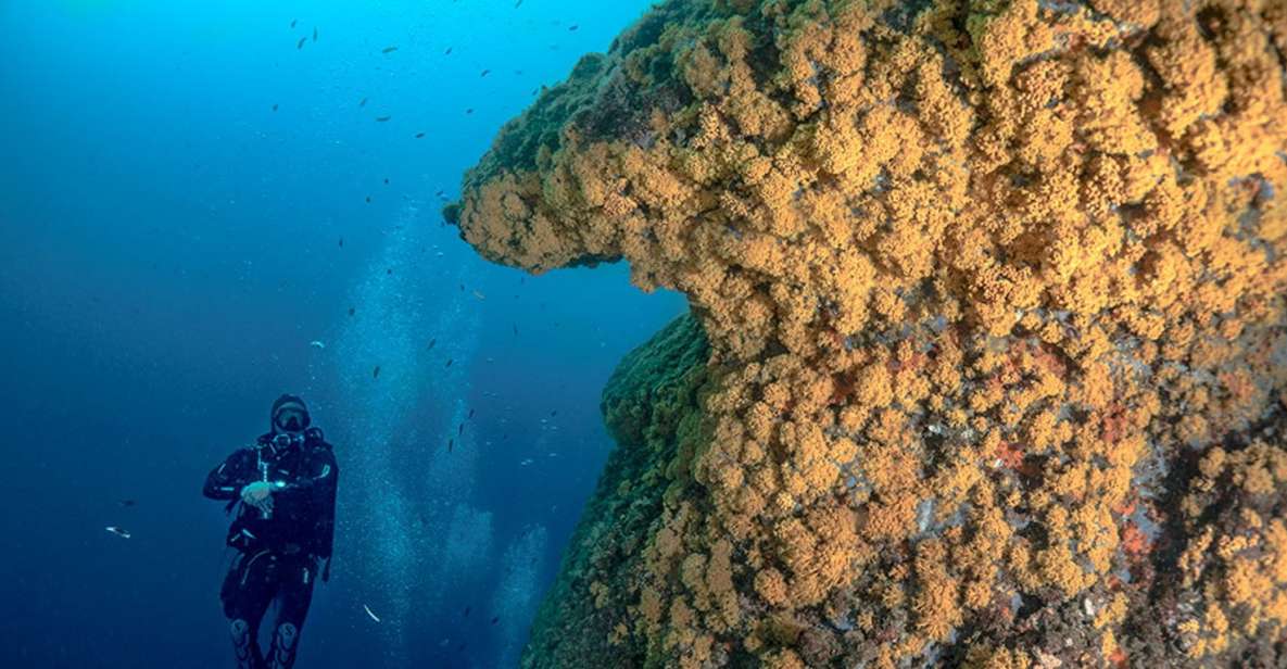 Torre Annunziata: Scuba Dive for Certified Divers - Participant Information