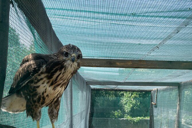 Torre Guaceto EBike Tour - Key Points