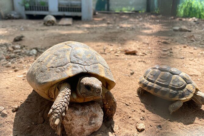 Torre Guaceto EBike Tour - The Experience: What You Can Expect