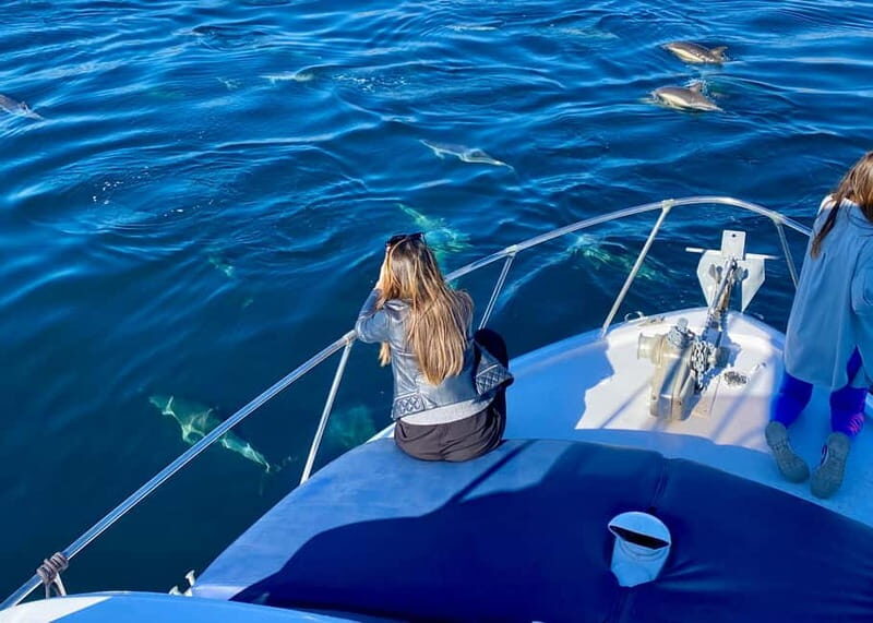 Torremolinos/Benalmadena: Private Boat Tour - Key Points