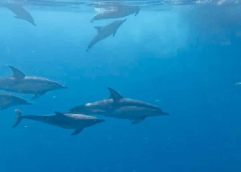 Torremolinos/Benalmadena: Private Boat Tour - The Sum Up