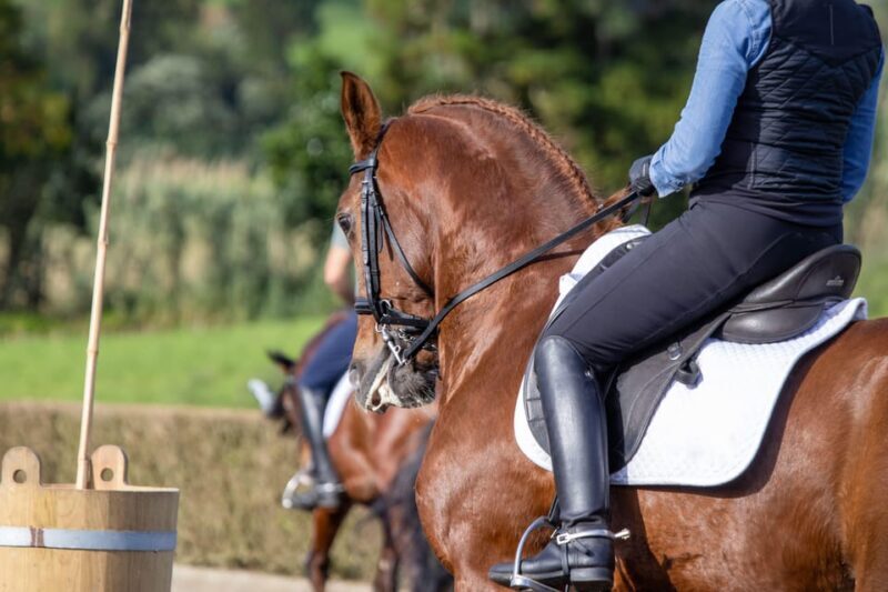 Torremolinos: Guided tour to stables of El Ranchito - Who Should Try This?