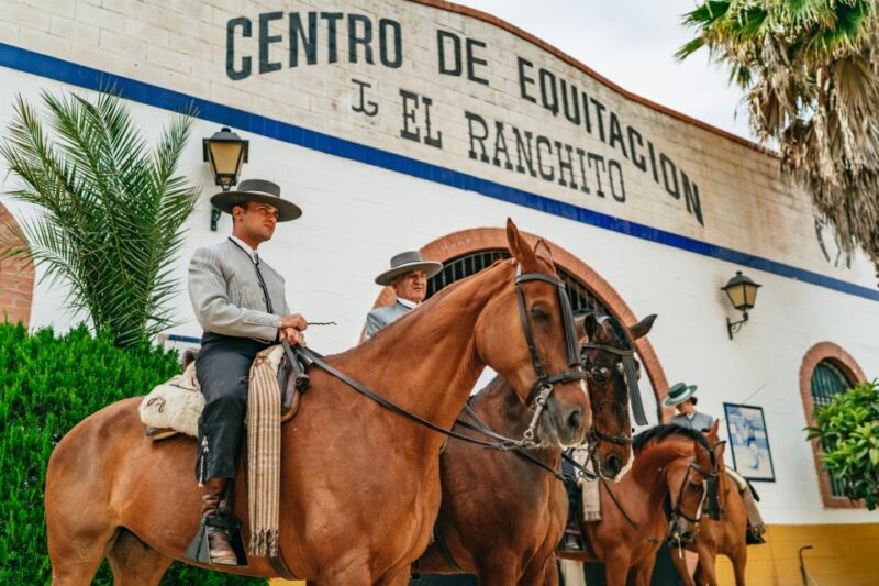 Torremolinos: Horse Show, Dinner Option, Drinks, & Flamenco - Show Performance and Highlights