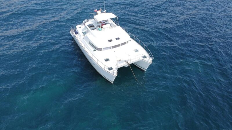 Torrevieja: Isabel Alba Catamaran Tour 4 Hours - Meeting Point