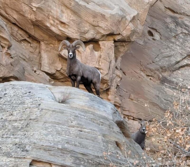Torrey: Capitol Reef National Park Temples of the Sun & Moon - The Experience: What Youll Love