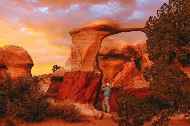 Torrey: Cosmic Ashtray, Devil's Garden, and Cedar Wash Tour - Key Points