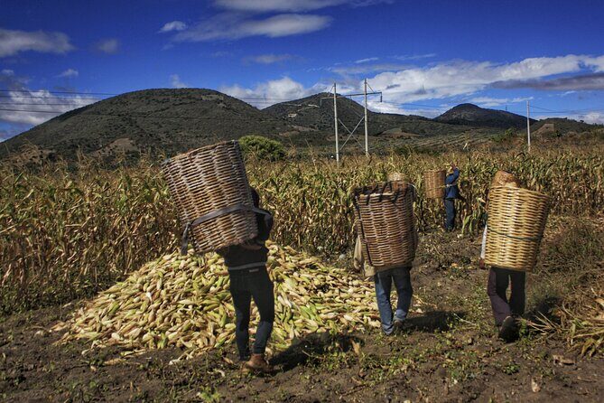 tortilla class in my zapotec village - FAQ