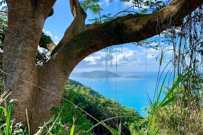 Tortola Private Tour and Snorkeling in the most beautiful beaches - What’s Included and What’s Not