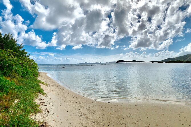 Tortola Private Tour and Snorkeling in the Most Beautiful Beaches - Pricing and Duration