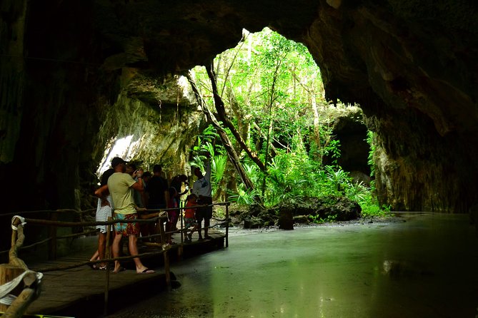 Tortugas & Cenotes Snorkel With Turtles Tour - Booking and Cancellation