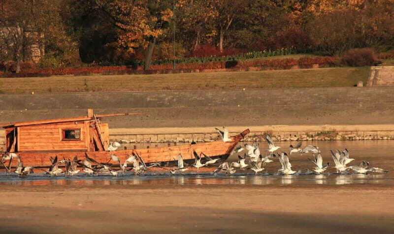 Toru: Sightseeing Cruises on the Vistula River - A Closer Look at the Experience