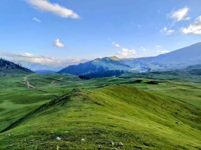 Tosa Maidan - The King of Meadows - Guides and Activities