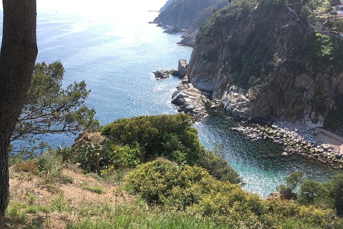 Tossa De Mar and a Boat Trip Along the Costa Brava From Barcelona - Return to Barcelona