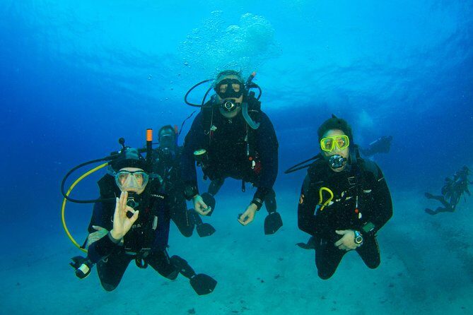 Tossa de Mar Scuba Diving PADI - What to Expect After the Dive