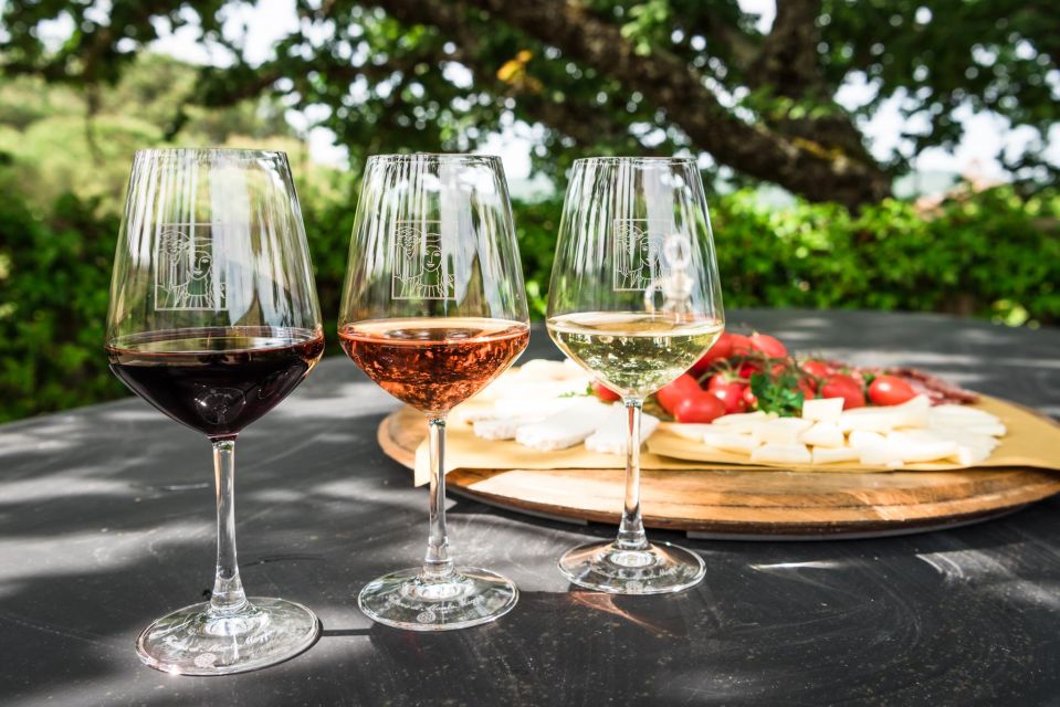 Total Immersion Experience Italian Version - Key Points