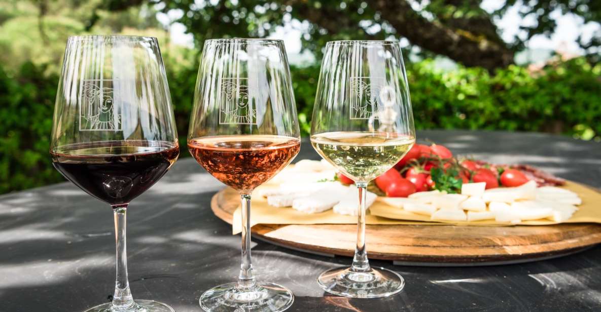 Total Immersion Experience Italian Version - Activity Highlights