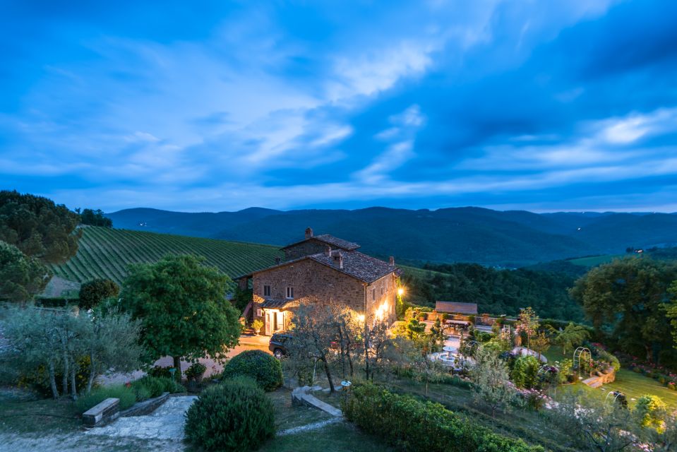 Total Immersion Wine Tour in Chianti - Experience Highlights