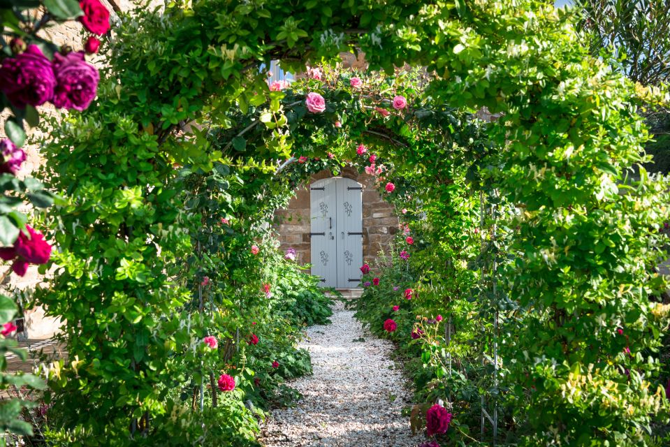 Total Immersion Wine Tour in Chianti - Detailed Itinerary