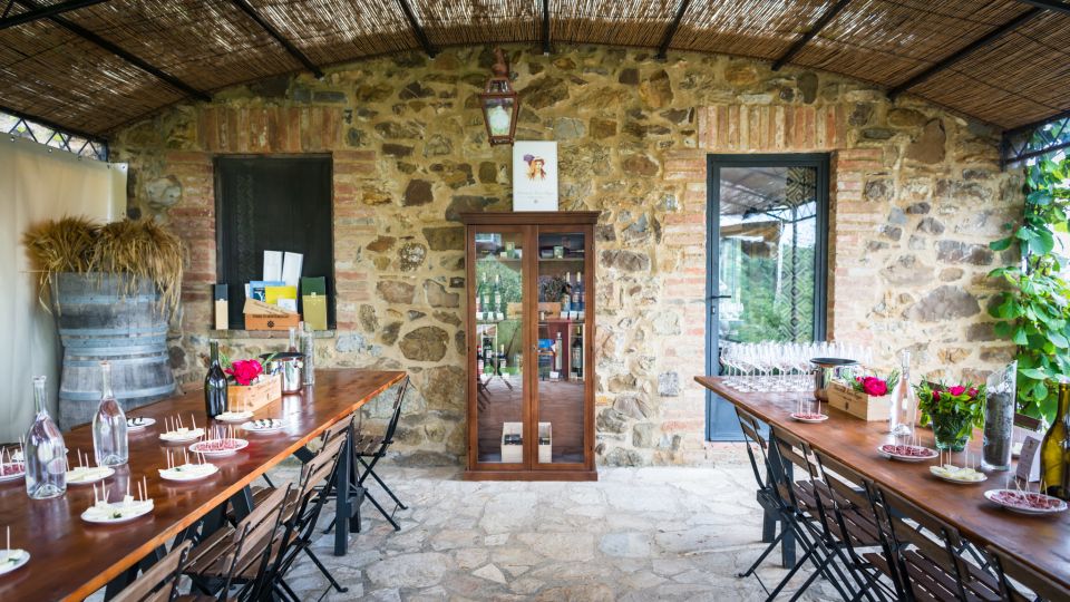 Total Immersion Wine Tour in Chianti - What to Expect During the Tour