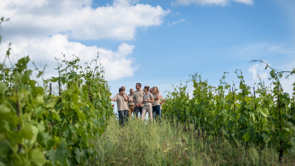 Total Immersion Wine Tour in Chianti - Tips for an Enjoyable Experience