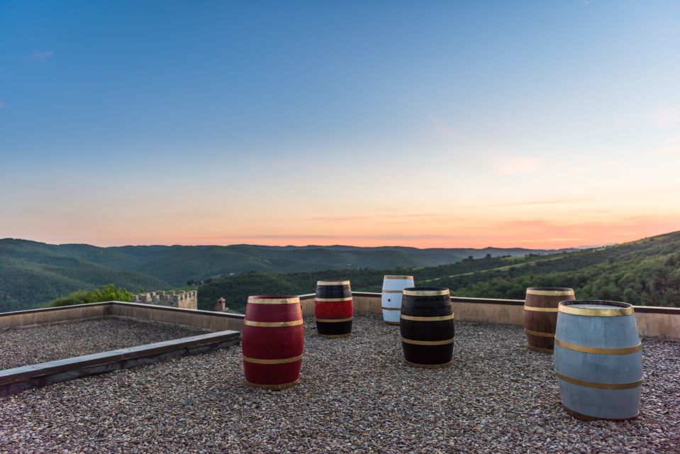 Total Immersion Wine Tour in Chianti - Frequently Asked Questions