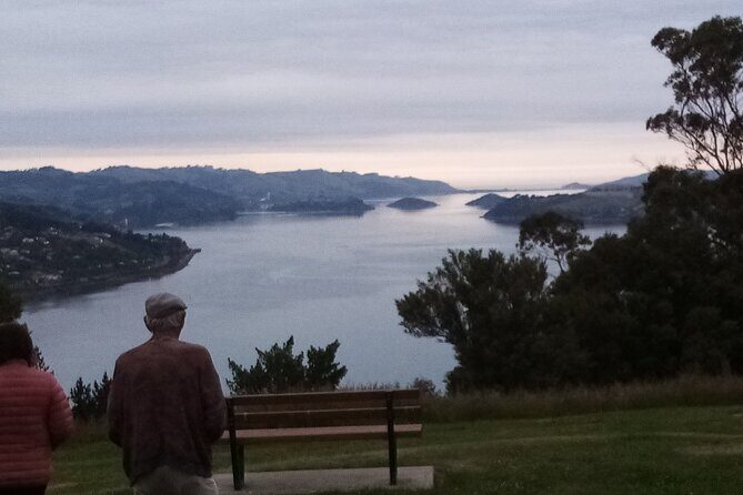 Totally Local Wildscene Private Shore Excursion With 8 travelers - The Sum Up