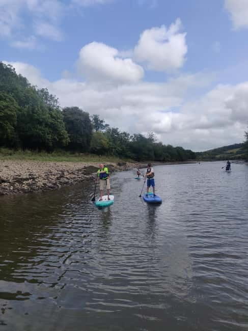 Totnes: Paddleboard adventure on the River Dart - In The Sum Up
