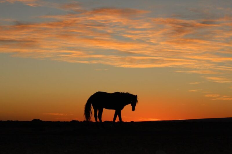 Touareg Desert Horseback Riding in Morocco - Exploring the Moroccan Desert