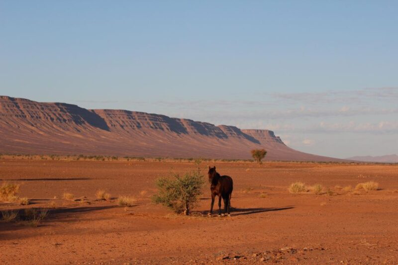 Touareg Desert Horseback Riding in Morocco - Itinerary and Schedule