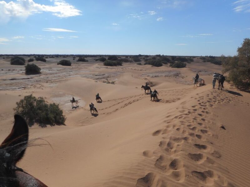Touareg Desert Horseback Riding in Morocco - Reservation and Pricing
