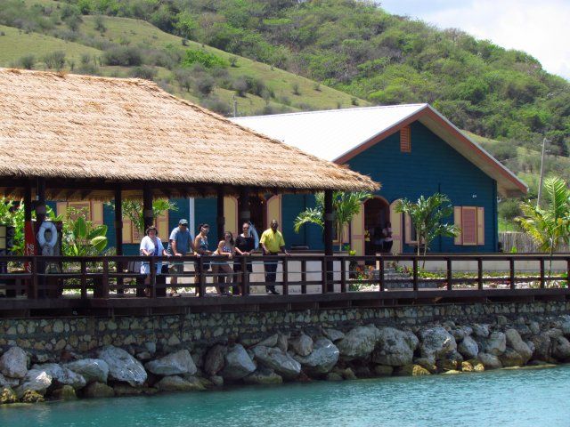 Touch Encounter With the Dolphins at Dolphin Cove Negril - Exotic Wildlife at the Cove