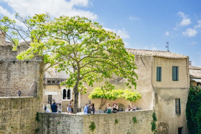Toulouse: Carcassonne Day Trip by Coach With Audioguide - Audio Guide and Languages