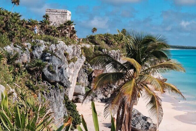 Tour 1 day in Tulum with Coba and Cenote and Playa del Carmen - A Closer Look at the Experience