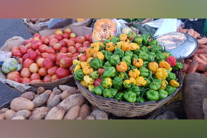 Tour a Jamaican Farm - What to Expect