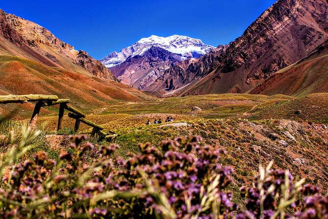 Tour Aconcagua Park in Small Group From Mendoza With Barbecue Lunch - Delicious Barbecue Lunch Experience